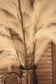 46" NATURAL SYNTHETIC FEATHERS [FF2351-CASE]